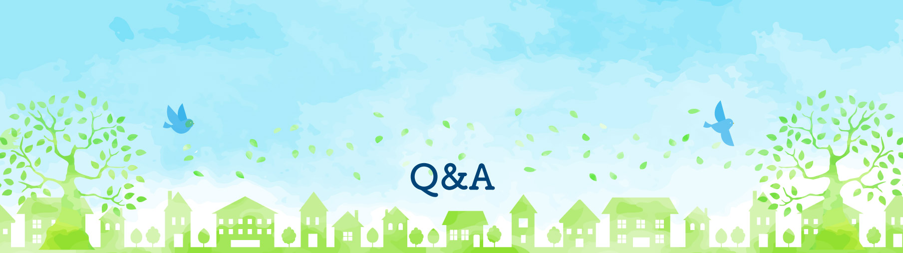 Q&A