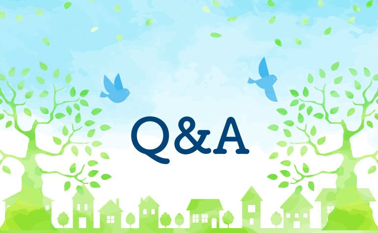 Q&A
